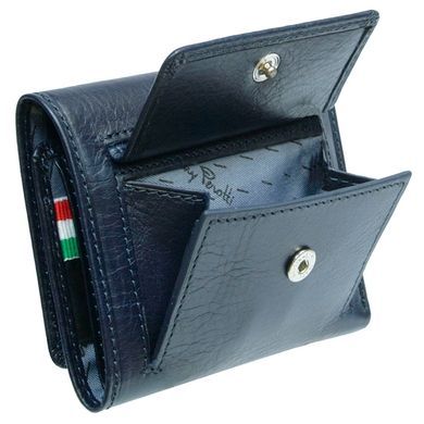 Credit holder Tony Perotti from the collection Nevada.