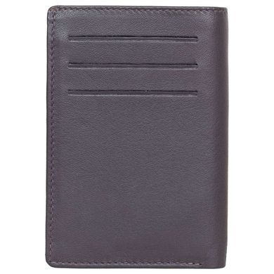 Credit holder Tony Perotti from the collection Cortina.