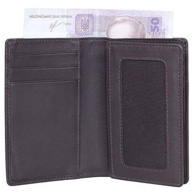 Credit holder Tony Perotti from the collection Cortina.
