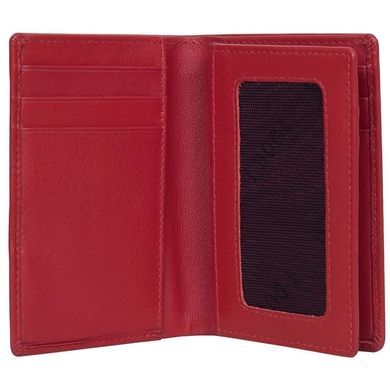 Credit holder Tony Perotti from the collection Cortina.