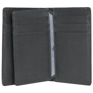 Credit holder Tony Perotti from the collection Cortina.