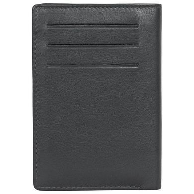 Credit holder Tony Perotti from the collection Cortina.