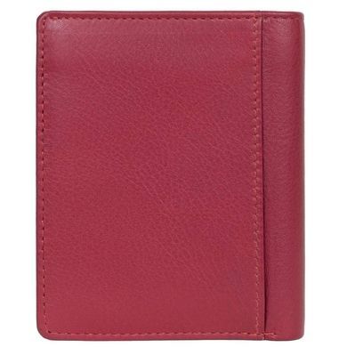 Credit holder Tony Perotti from the collection Cortina.
